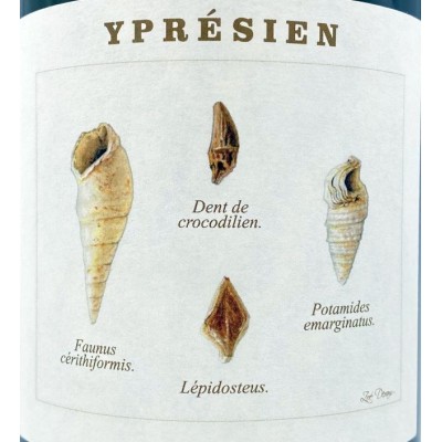 Legrand-Latour Yprésien 2019 Brut Nature Champagne