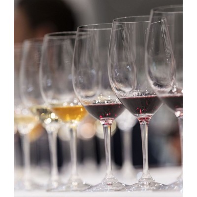 Valensijos Vynų Degustacija Valensijos Vynų Degustacija