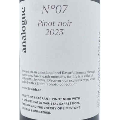 Michael Wenzel Analogue nº07 Pinot Noir 2023 Michael Wenzel Analogue nº07 Pinot Noir 2023