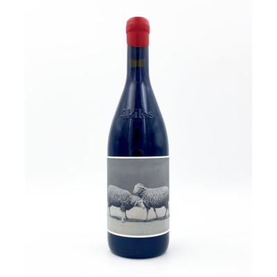 4Kilos 2023