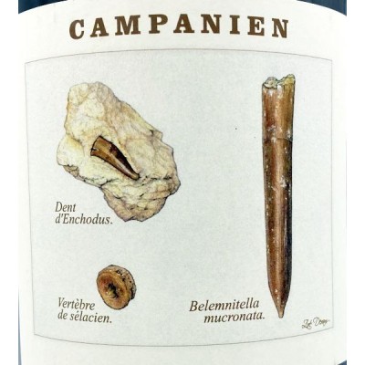 Legrand-Latour Campanien 2020