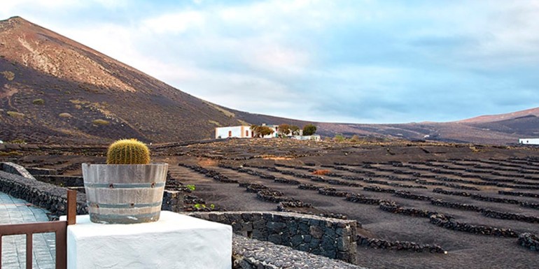 The best white wine from the Canary Islands is in BlancoTinto