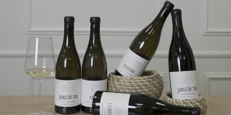 Guía completa para comprar vino online: cómo elegir el mejor vino